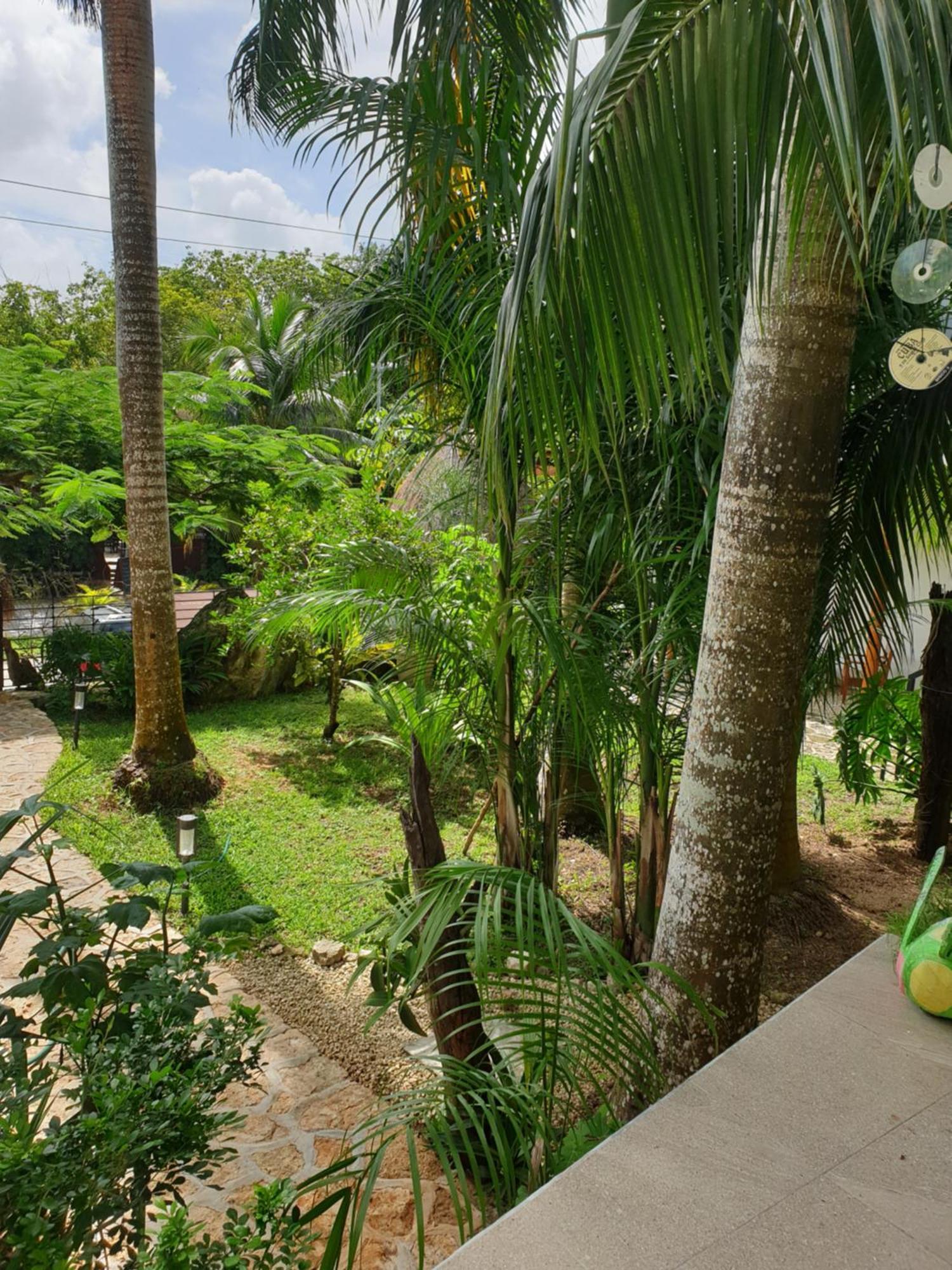 Camino Del Alma Apartments Bacalar Værelse billede